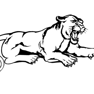 Cougar